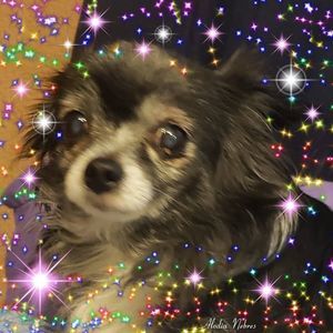 Meet your Posher, Janice